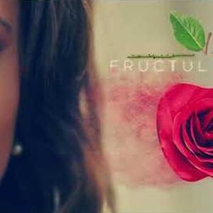Fructul Oprit Fructul Oprit Community Fandom