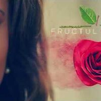 Fructul Oprit Fructul Oprit Community Fandom