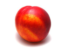 Nectarine