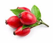 Rose Hip -fruit-