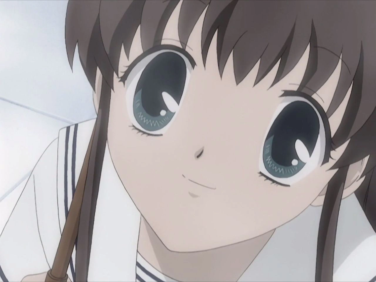 The Curse of the Cat/Gallery Fruits Basket Wiki Fandom