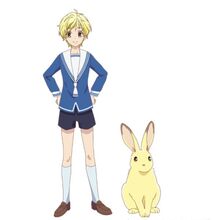 Fruits Basket 2019 Anime Fruits Basket Wiki Fandom