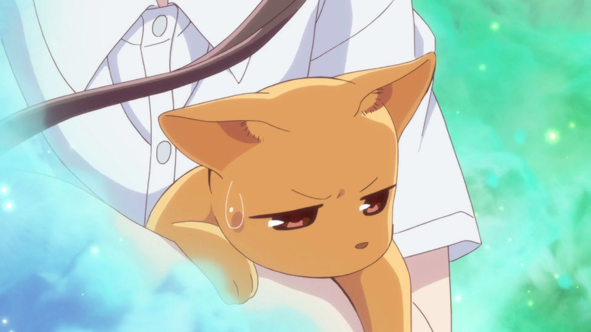 √ Fruits Basket Kyo Cat Ears Mon Blog Jardinage