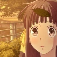 Tohru Honda Fruits Basket Wiki Fandom