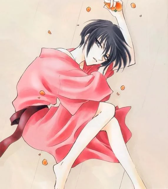 Akito Soma Fruits Basket Wiki Fandom