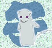 Rato chara