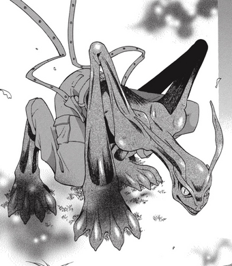 Sohma Curse Fruits Basket Wiki Fandom