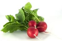 Radish