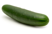 Cucumber