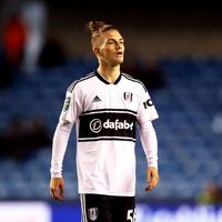 Harvey Elliott Fulham Wiki Fandom