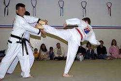 Taekwondo1