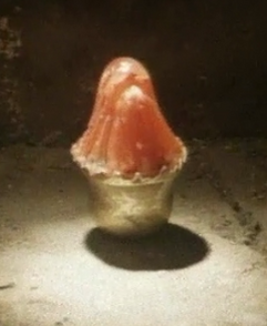 Bloodstone
