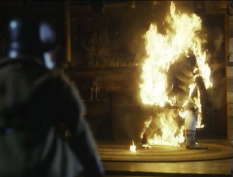 TorchVictim