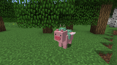 Pegasus pig
