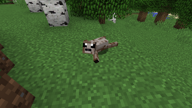 Sloth