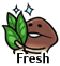 Fresh