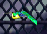Dragonflies