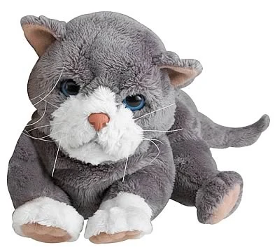 types of white cats with blue eyes