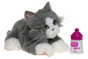 Kitten | FurReal Friends Wiki | Fandom