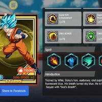 Goku Ssgss Fury Fighter Awaken Wiki Fandom