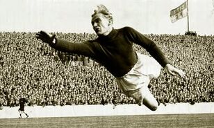 Trautmann 1