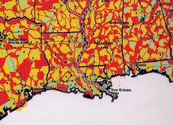 RewildingNewOrleans