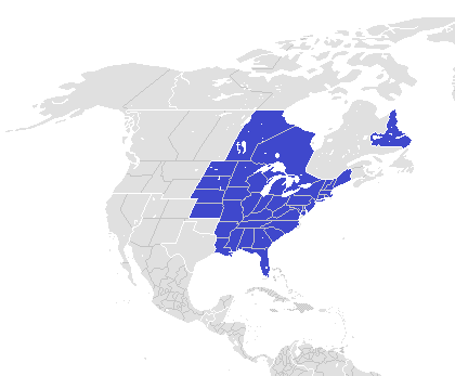 what is a commonwealth state