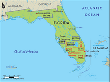 FL mil situation