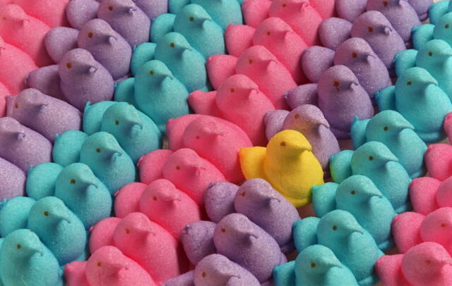 File:Marshmallow peeps.jpg