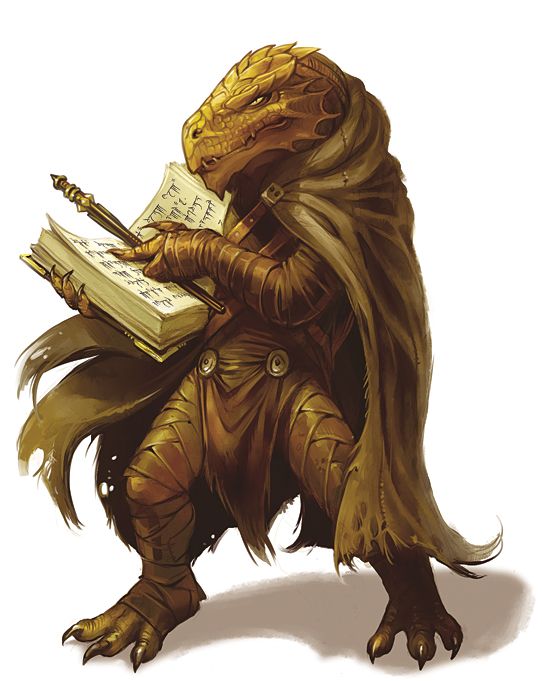 wizards lizard wiki