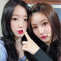 Tom Jerry G I Dle Wiki Fandom