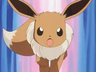 195px-Sakura Eevee