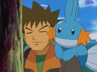 EP355 Mudkip y Brock