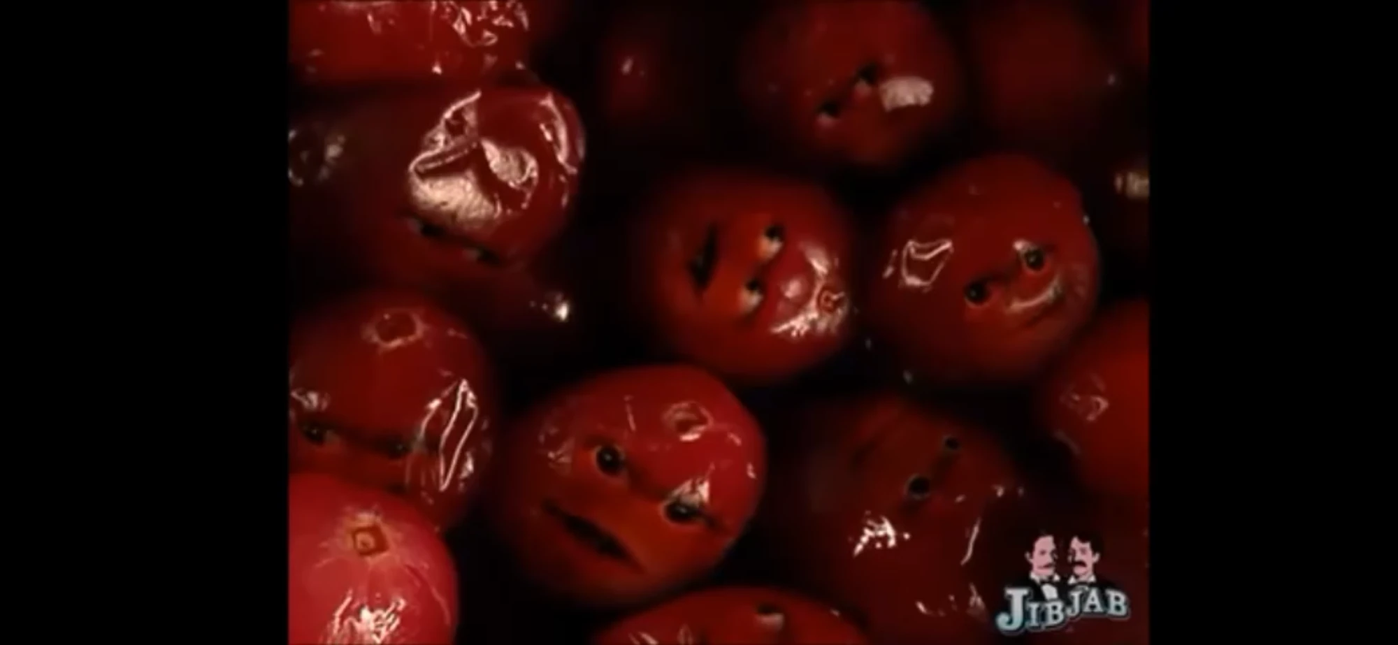 Cranberries Gagfilms Wiki Fandom