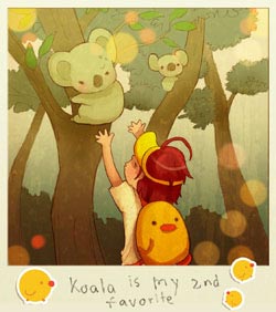 3 koala