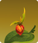 Fruit05 dally