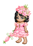 Spring-rose-f