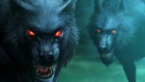 Mist Wolves