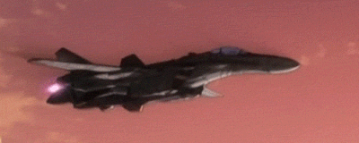 Ani-macross-vf25inflight