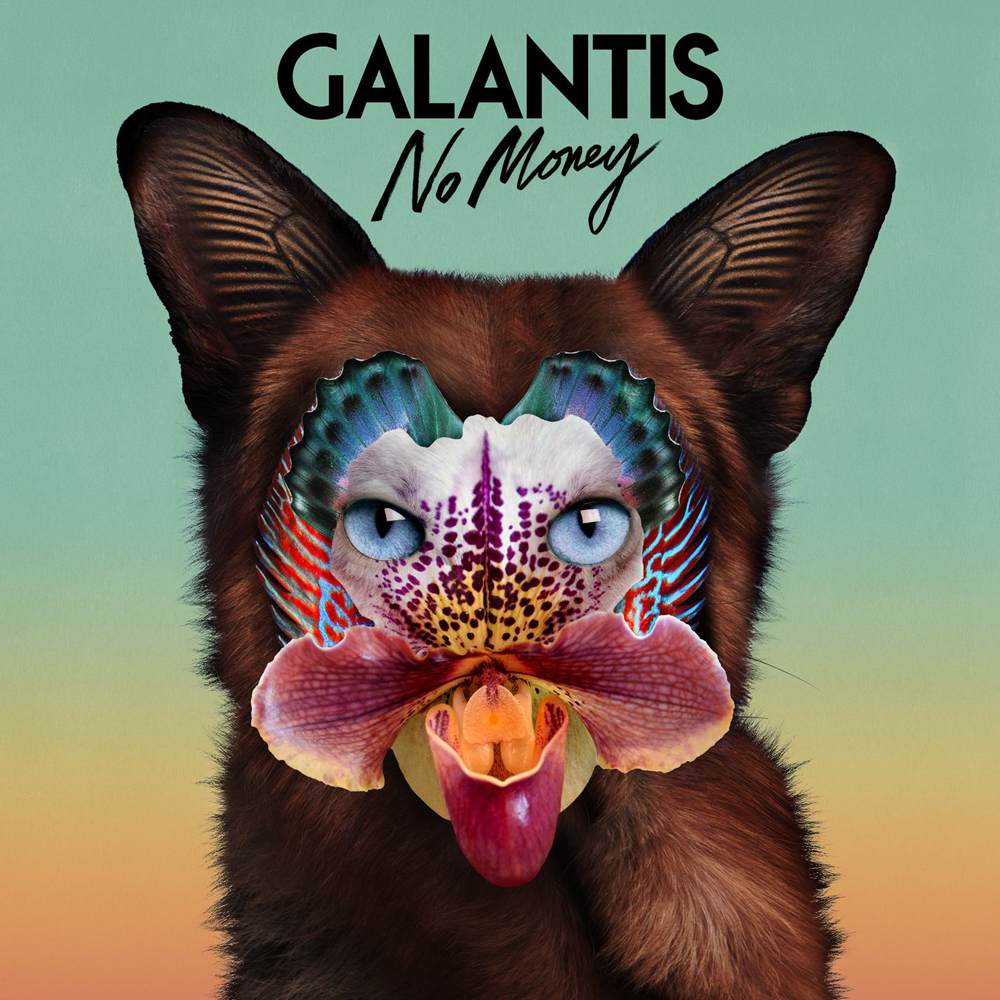 Galantis Real Face