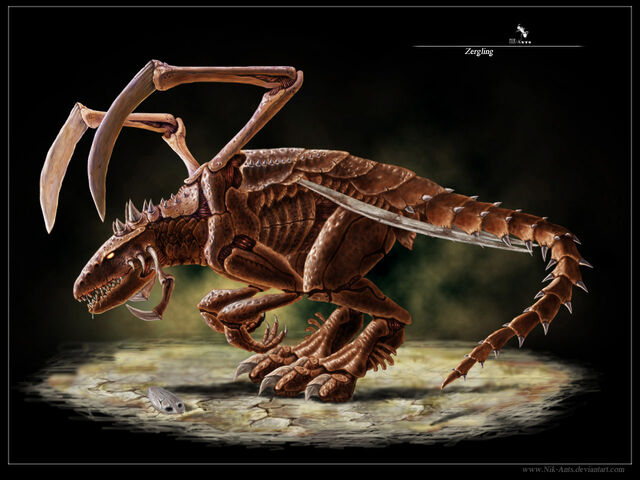 File:Zergling by Nik Ants.jpg