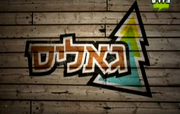 לוגו