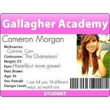 morgan gallagher cammie badge ga students wikia scale