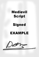 MediEvilScriptExample