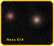 Resultado de imagem para Ross 614 star