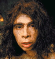 Neanderthal2