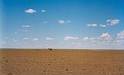 256px-OmnogoviLandscape