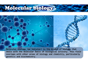 Molec bio