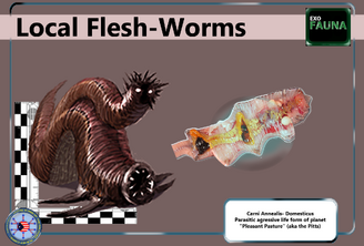 Local flesh