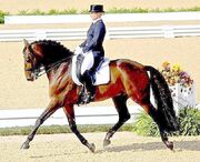 English style 83d40m WEG 2010 - Dressage v2